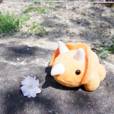 1999_itsuka's profile picture. 短歌|記憶の果ての君を詠う|ヘッダーはありんこの友さんからいただいた短歌FAです（@ECgtmiUBKp19260 ）|#いつかの短歌 #霽れ待つふたり |下のリンクからメッセージや質問受け付けてます🦕🌱