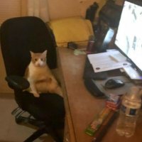 ‎َ (@cianoble) 's Twitter Profile Photo