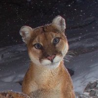 love is more cruel than college entrance exams (@jiwonoutsings) Twitter profile photo