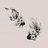 luming_1oo4's profile image