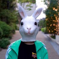 白˙˚ʚ✞ɞ˚˙-HAKU- (@__trrrrhk__) 's Twitter Profile Photo