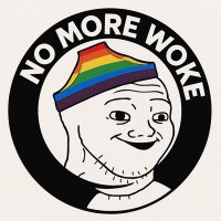 NoMoreWoke (@nomorewoke_) 's Twitter Profile