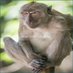 Rasmus Aimo Viitanen (@aimorasmus46129) Twitter profile photo Rasmus Aimo Viitanen (@aimorasmus46129) Twitter profile photo