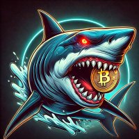 Sharkboy.btc (@caiomatheus03) 's Twitter Profile