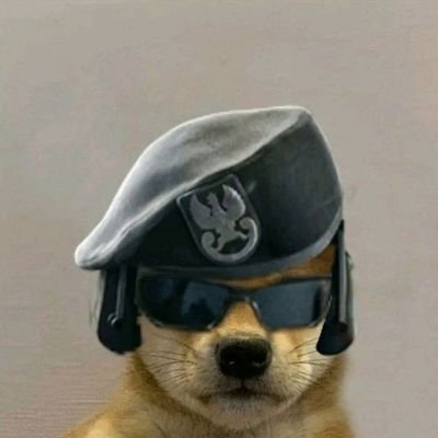 PritomRajkonwar's profile picture. It took 3 hours to make this bio.