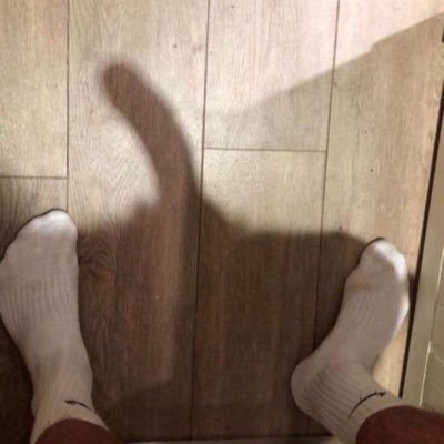 dom-breaker. hierarchy ends here. emphasis on breaking doms. findom - chastity - and much more. DMs are open.