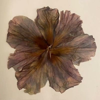 i.さんのプロフィール画像