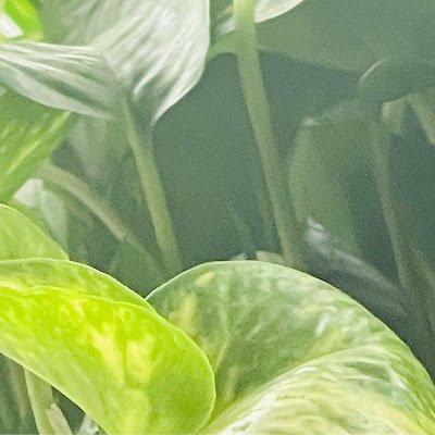 bai30516's profile picture. 