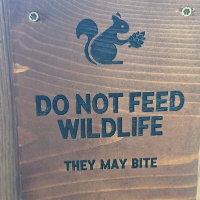 TravelfoolP's profile picture. Pro-science, humanity, history and travel.