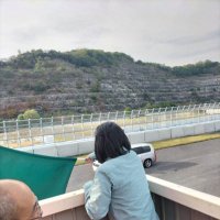しましまにゃんこ (@goemon1989) 's Twitter Profile