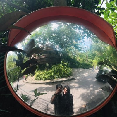 dillaarialf's profile picture. 