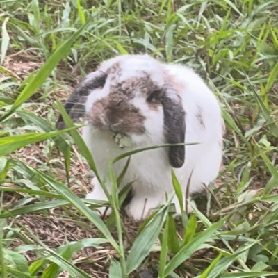 m_meesocc's profile picture. เราไม่ค่อยเล่นทวิตแต่ใครสนใจหนังสือทักได้นะคะ ส่งจริงแน่นอนค่าา💕