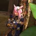らいみん(Raimin Sura) (@ff14_raiminsura) Twitter profile photo らいみん(Raimin Sura) (@ff14_raiminsura) Twitter profile photo