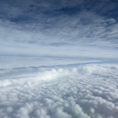 DukakisFan's profile picture. 🇵🇸