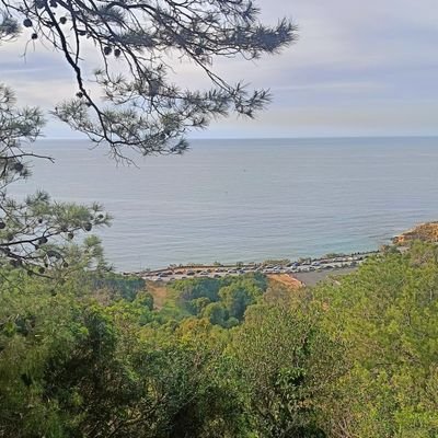 Josef5614974461's profile picture. 