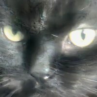 JJ (@r7ecc) 's Twitter Profile