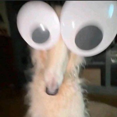 cunnyaddict69's profile picture. 