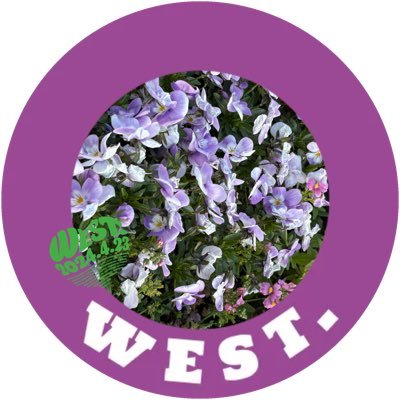 2022~虹色ジャス民🌈 💜濵ちゃん💜
WEST.と出会えて人生100倍楽しい幸せ者です。よろしくお願いします😊
無言でフォローとか失礼があったらすみません💦