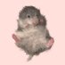U🧀eEf (@uuwee_f_ovo) Twitter profile photo U🧀eEf (@uuwee_f_ovo) Twitter profile photo