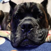 Tracy Tudor (@wtt_turf) 's Twitter Profile