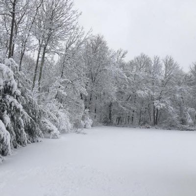 JKDH551's profile picture. Football fan