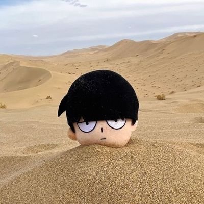 brunoさんのプロフィール画像