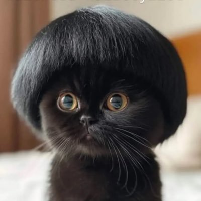 DkmotorsMind's profile picture. 🇱🇹Petrolhead | Adventure rider | Degen