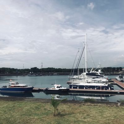 moonris12921269's profile picture. 