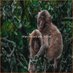 Aarne Veli Sariola (@aarneveli83470) Twitter profile photo Aarne Veli Sariola (@aarneveli83470) Twitter profile photo