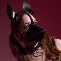 koi (@koikoikoidawg) 's Twitter Profile