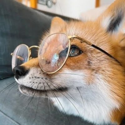 noun052318's profile picture. 永遠追隨子午
雖然子午藝人全推，但還是主推阿雷
叫狐狸尾巴是因為以前喜歡別人太明顯，常常被同學說「很明顯 你的狐狸尾巴都露出來了」
（未來沒有3/30、4/27