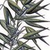 OatsOften@Albion Online (@oatsoften) Twitter profile photo OatsOften@Albion Online (@oatsoften) Twitter profile photo