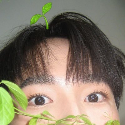 punnthaweesilp's profile picture. i read, watch and live classics.