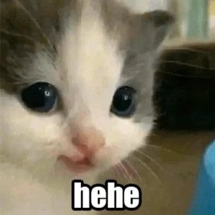 chorizardita's profile picture. gamer, generic QA tester