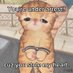 Takoyaki Pedas (@pedastakoyaki) Twitter profile photo