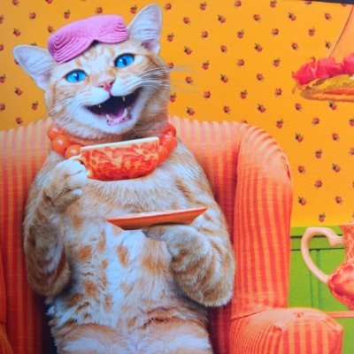 k777444's profile picture. 