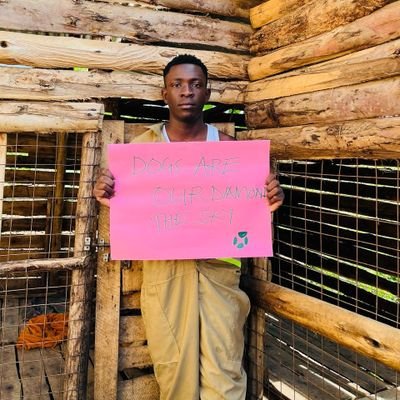 Godfrey___s's profile picture. Rehabilitation & Rescuing animals from the streets 
All animals are worthy of safe and loving 
Any amount counts , Donate it now 
#animalrescue #Doglover #share