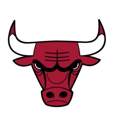 Chicago Bulls Profile