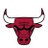 Chicago Bulls