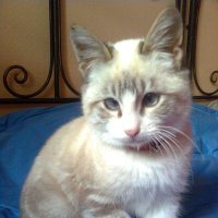 ๐Chrissy, ๐ป Betty๐โโฌ๏ธ & ๐ปDude๐๐ช๐ฆ (@chrisdu04861426) 's Twitter Profile Photo ๐Chrissy, ๐ป Betty๐โโฌ๏ธ & ๐ปDude๐๐ช๐ฆ (@chrisdu04861426) 's Twitter Profile Photo