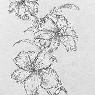 sisirnenwq's profile picture. 인생 ㅋ