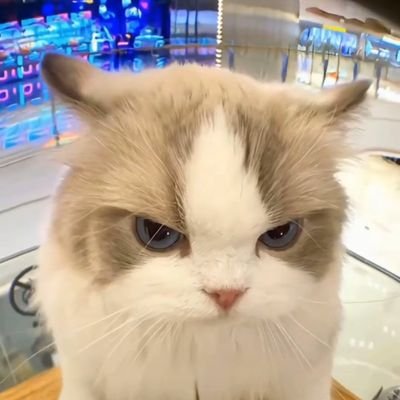 Suruoyu1030's profile picture. 我一直都在