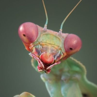 Jakewzz's profile picture. — Estudante Ψ
— Foco em faculdade e concursos 📚

#collegetwt  ||  #studytwtbr  ||  #conctwt