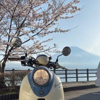 びのこ🩵 (@vino_travelll) 's Twitter Profile Photo