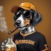 Sports Fiend 𝕏 (@volsstate) Twitter profile photo Sports Fiend 𝕏 (@volsstate) Twitter profile photo