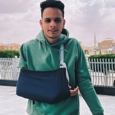 Mostafa86528931's profile picture. Flutter Developer💜✨