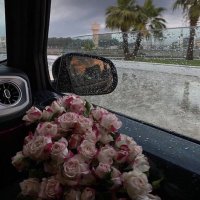 علياء 🇰🇼 (@timvjhlaiy50355) 's Twitter Profile