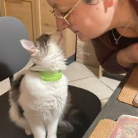 Dobby is free NATALE MARIA Z (@tiziana_lisa) 's Twitter Profile Photo Dobby is free NATALE MARIA Z (@tiziana_lisa) 's Twitter Profile Photo