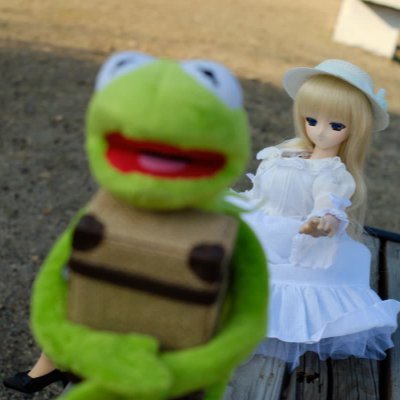 人形遊びお楽しむカエル // Dollfiedream & KSG-L
GFX100s / MFレンズ大好き
Main @SGT_Avarest
