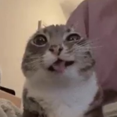 MoneyAssembler's profile picture. Make bread don’t break it | Cidon 🕊️🖤 6/12/23